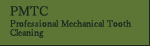 PMTC(Professional Mechanical Tooth Cleaning)