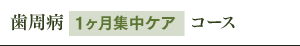 歯周病1ヶ月集中ケアコース
